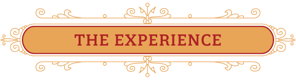 The Mystique Experience